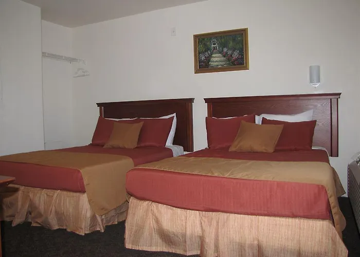 Siegel Select (adults Only) 2*
